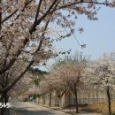 천리공인중개사사무소 이미지