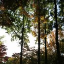 자연생한의원 이미지