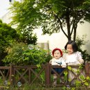 올리브트리스튜디오 이미지