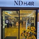 앤디헤어 | 청주에서 1시간 달려간 미용실 대전 ND헤어(앤디헤어) 방문 후기