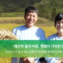 양지농원 네이버블로그