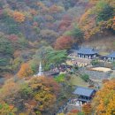 청화사 이미지