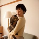 언제나고양이 이미지