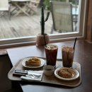 멜로우데이즈 | 태안 애견동반 카페 | 안면도 스콘맛집 멜로우데이즈 내돈내산 후기🥨