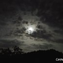 구르메 달 가드시 이미지