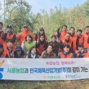 일손개발 이미지