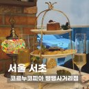 송남빌딩 | [양재 맛집] 코르누코피아 뱅뱅사거리점 | 양재카페에서 즐긴 서울애프터눈티세트
