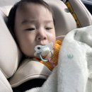 고팡하우스 | 9개월 아기와 육휴쀼의 귤국 여행기(1)