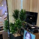 신반포로47길 9-21 이미지