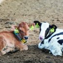 주령축산 이미지