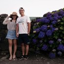 안성리-6 이미지