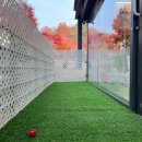 하우에버 포우에버 이미지