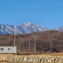 양양부동산중개사무소 이미지