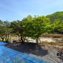 산나들이민박 이미지