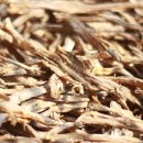 중앙시장3길 이미지