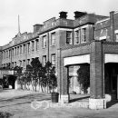 동산병원 이미지