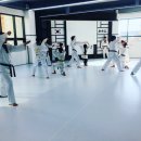 백호타이거즈태권도 이미지