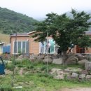 고내농장 Daum카페