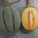 멜론짐 이미지