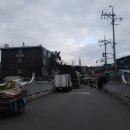 은행나무시장 이미지