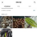 트리하우스 | 평택 트리하우스 은행나무방 후기 / 외국 감성 물놀이 추천(뉴진스 촬영지)