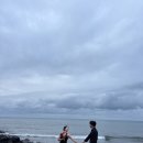 연리지로 | W12-2. 제주스냅후기 :: 연리지와 기록 남기기
