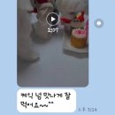 멍냥이꼬 | 후기는 사랑입니당 ❤️