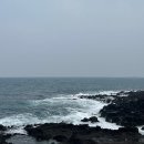 보다 | 제주도 공항 근처 항공뷰 신상 베이커리 카페 '와보다' 방문 후기