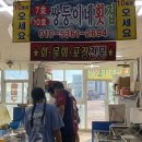 강원도 고성 속초 여행 봉포항 활어회센터 “쌍둥이네횟집” 내돈내산 후기