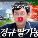 경규농장 이미지