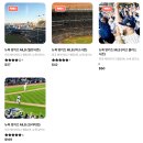 제시뉴욕 | 뉴욕 가볼만한곳 양키스 MLB 야구 경기 직관 후기 예매방법