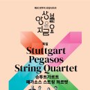 슈투트가르트 페가소스 스트링 콰르텟 이미지