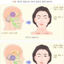 365동백한의원 이미지