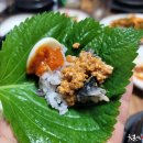 황토우렁이 이미지