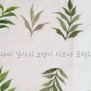 원단에 그리는 꽃그림(천아트) 이미지