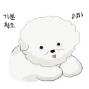 포동펫살롱 이미지