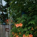 죽연마을회관 앞 이미지