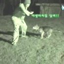 정환슈퍼