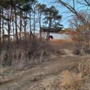 신기수목장 이미지