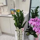 토리덴탈 이미지