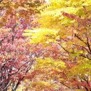 창원광장 앞 중앙대로 이미지