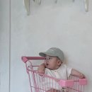 폴인럽제주 이미지