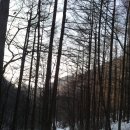 보개농업협동조합 이미지