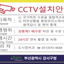 부산광역시 강서구청 이미지