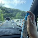내 옷장이 꽃향기로 가득해! 베어블 섬유탈취제 리뷰