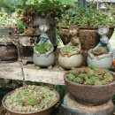 채림농장 이미지