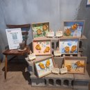 국공립아라금호어울림어린이집 이미지