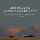 오늘의 '영어성경 사진'(773강) “그리스도의 법을 성취하는 법”(갈라디아서 6장 2절) 이미지