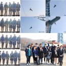 보니헤일로