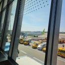 제주 3박4일 여행기 1일차 - 이재모피자, 인스밀, 썬앤문리조트